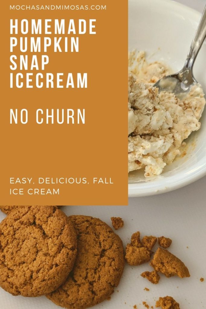 easy, homemade, pumpkin snap cookie, no churn ice cream recipe