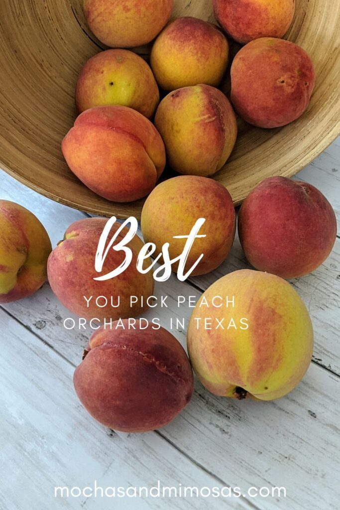 peach-picking-with-the-family